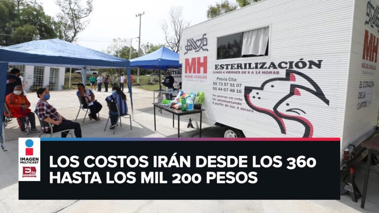 Cremaci&oacute;n de mascotas en Aguascalientes: una opci&oacute;n &oacute;ptima y respetuosa