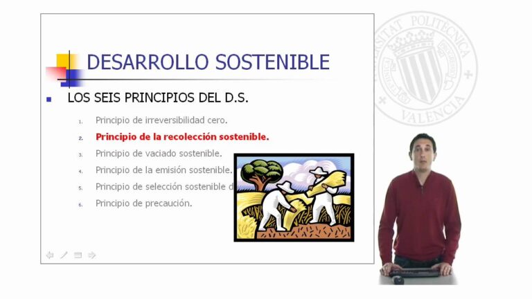 Principios b&aacute;sicos del desarrollo sostenible: Una gu&iacute;a concisa