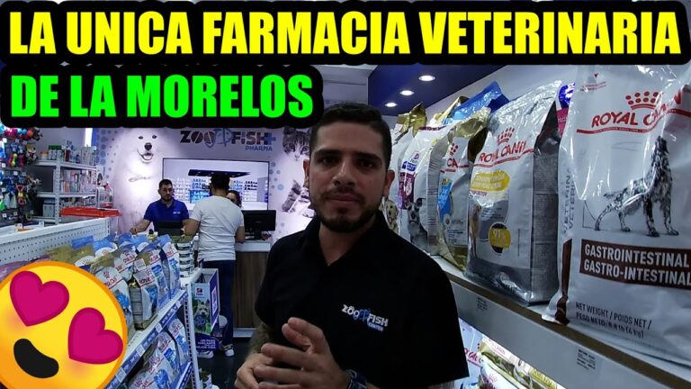 Descubre la Mejor Farmacia Veterinaria en Canc&uacute;n
