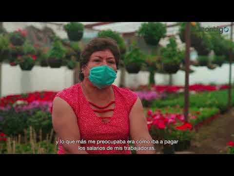 Trabaja en Financiera Contigo: Oportunidades laborales imperdibles