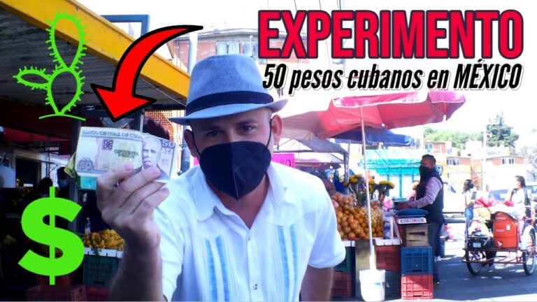 Maleta con dinero mexicano: descubriendo el oscuro mundo de la corrupci&oacute;n