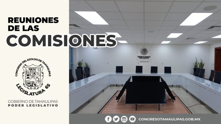 Optimizaci&oacute;n de la Tesorer&iacute;a Estatal de Tamaulipas