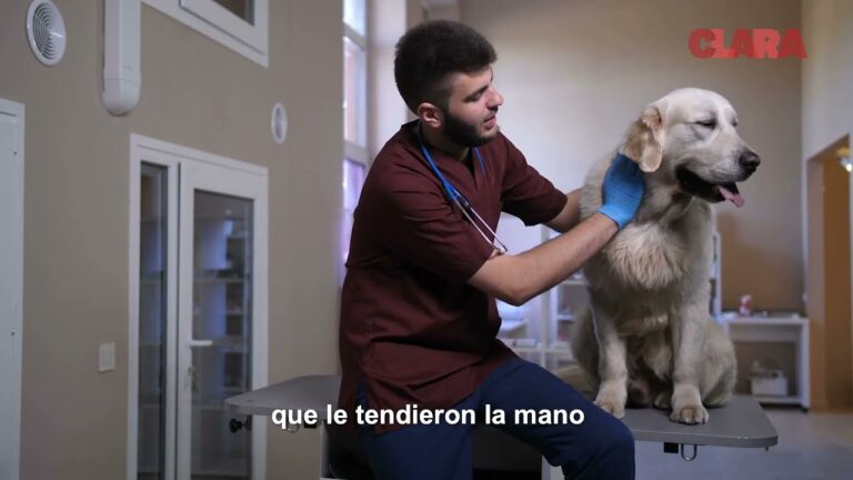 Centro de Cuidado Animal: Hospital Veterinario de Excelencia