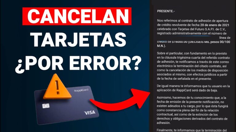 El futuro de las tarjetas: SAPI de CV revoluciona los pagos