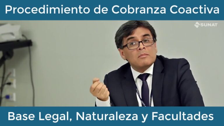 Sistema de Cobranza Legal: Optimizaci&oacute;n y Concisi&oacute;n