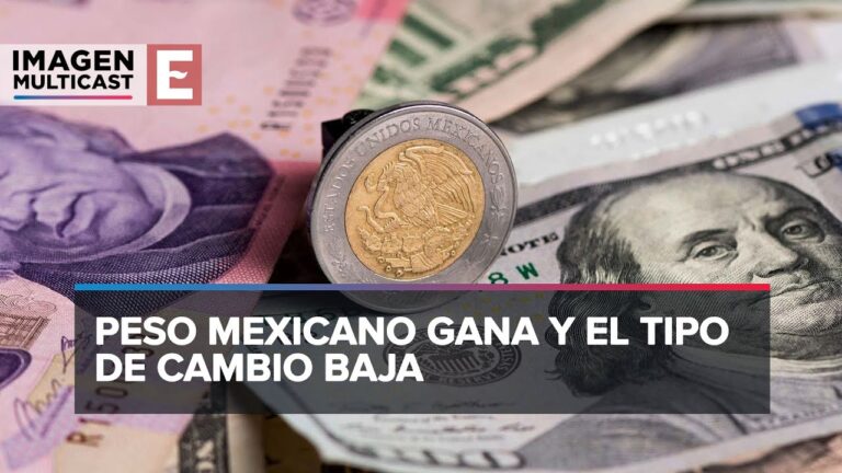 Convertir 410 d&oacute;lares a pesos: gu&iacute;a r&aacute;pida y sencilla