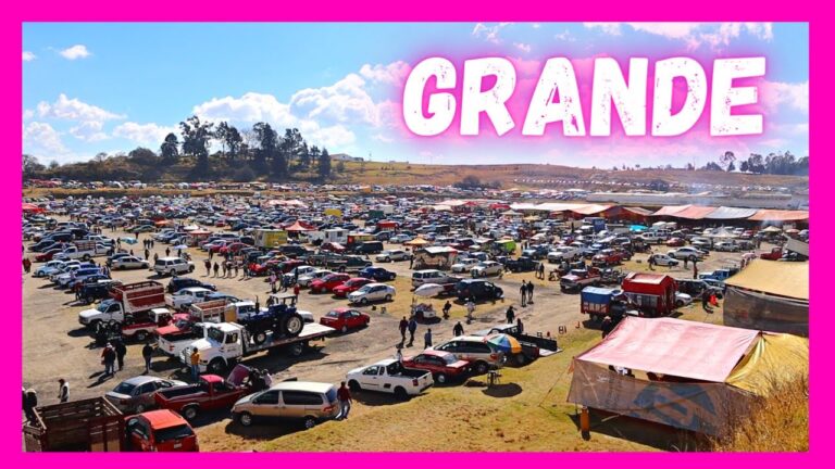 Gu&iacute;a para la compra y venta de autos usados en el Estado de M&eacute;xico