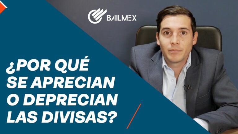 Todo lo que necesitas saber sobre BB Divisas