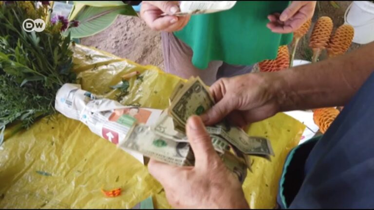 El precio actual del d&oacute;lar en Banregio