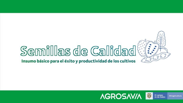 Banco Palmas: Impulso a la Econom&iacute;a Local