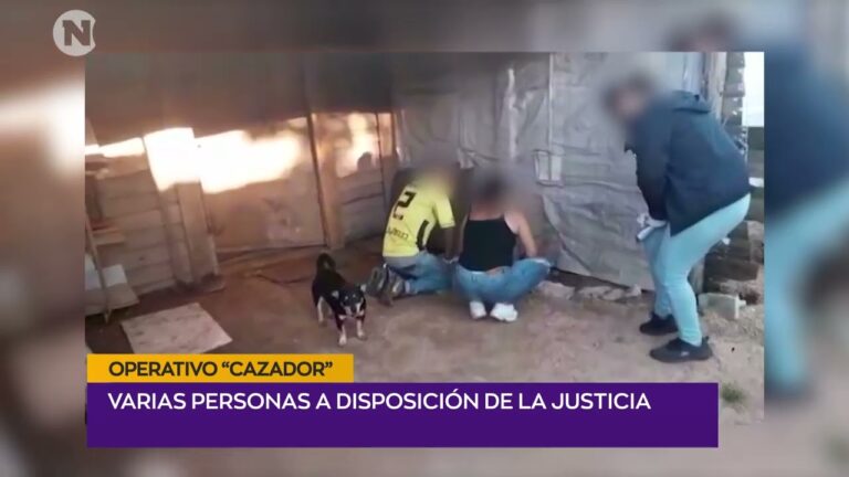 Convertir 148 d&oacute;lares a pesos: Gu&iacute;a r&aacute;pida y sencilla