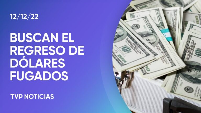 Gu&iacute;a para la Repatriaci&oacute;n de Divisas de forma Eficiente