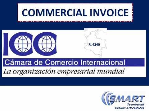Caracter&iacute;sticas de la Factura Comercial: Una Gu&iacute;a Completa
