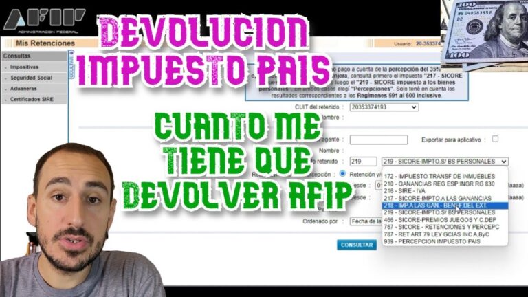 Convertir 219 d&oacute;lares a pesos: Gu&iacute;a r&aacute;pida y sencilla