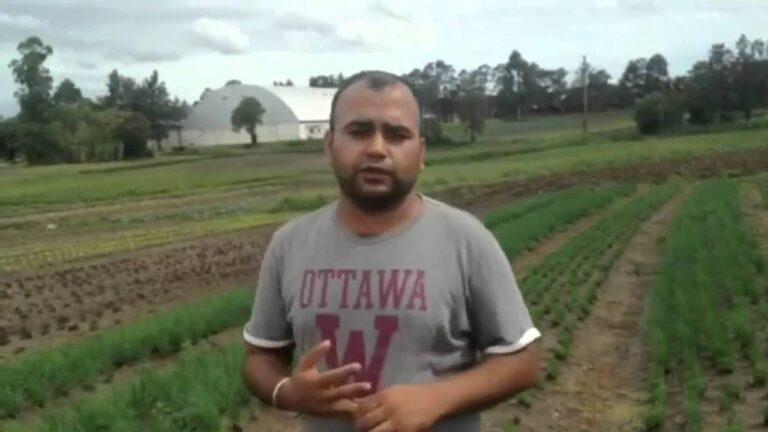 Convertir 23,000 rupias indias a d&oacute;lares estadounidenses