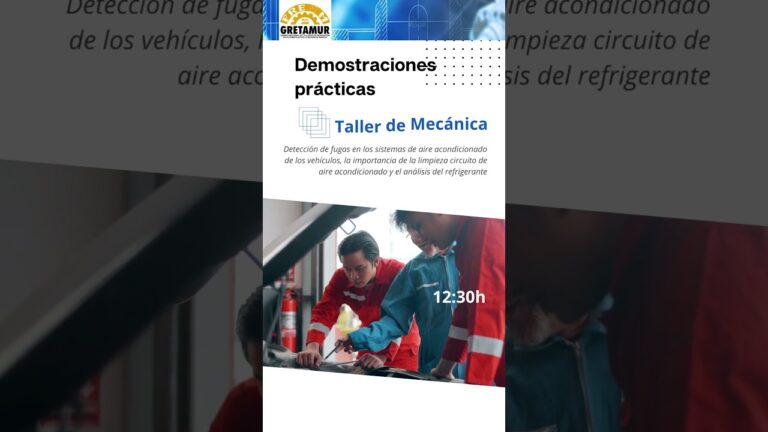 Guía para optimizar tu sitio web en ZXXZL.com