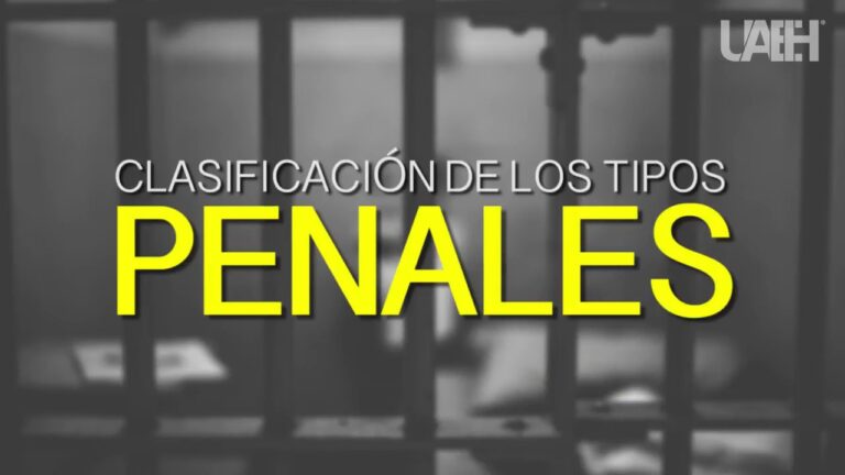 El Sistema de Clasificación Belga: Una Guía Completa