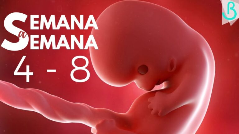 47 semanas: ¿Cuántos meses equivale?