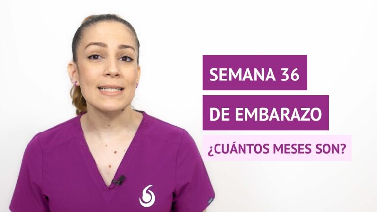 &iquest;Cu&aacute;ntos meses son 46 semanas?