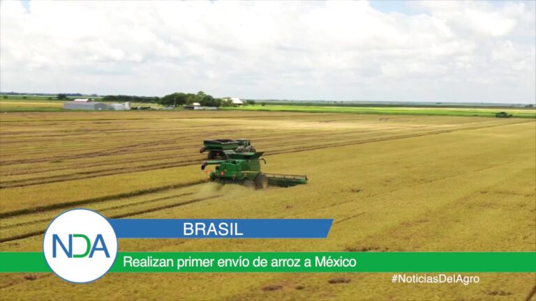 Env&iacute;os a Brasil desde M&eacute;xico: Gu&iacute;a Completa