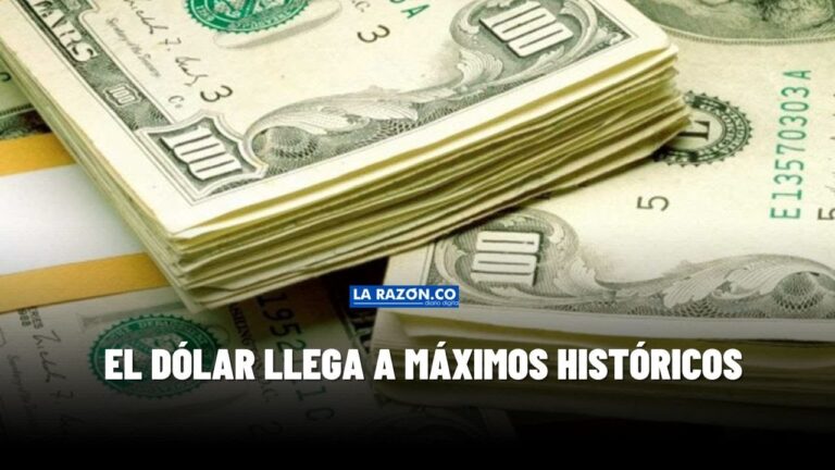 Convertir 241 d&oacute;lares a pesos: Gu&iacute;a r&aacute;pida y f&aacute;cil