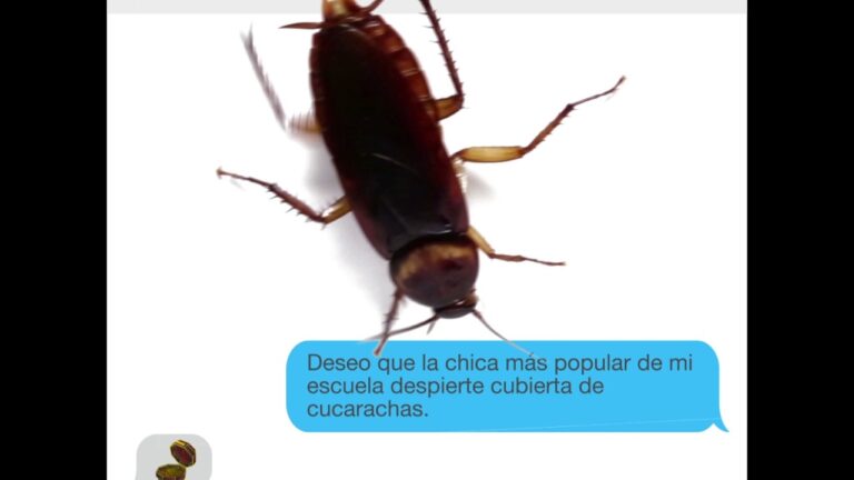 Procedimientos para retirar a una persona de forma segura