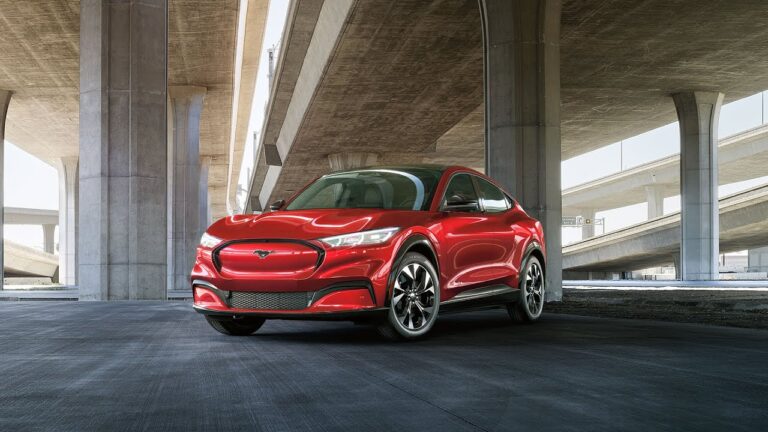 Comercializadora Mustang: L&iacute;der en Productos de Calidad