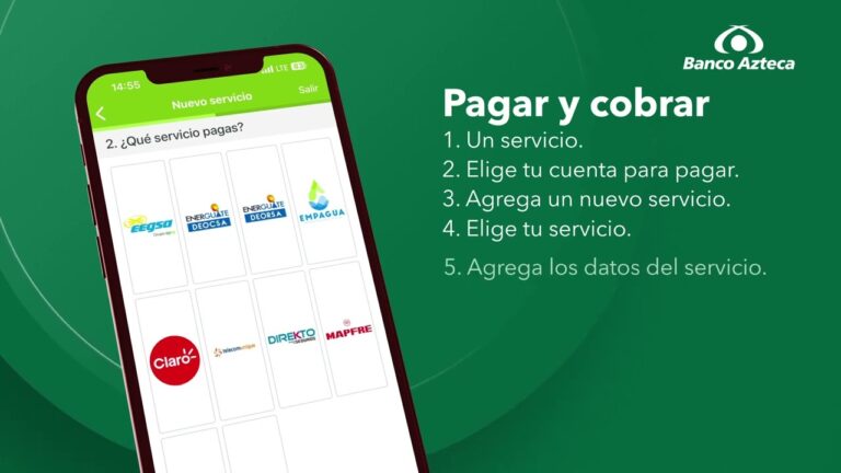 Gu&iacute;a para el pago de luz en Elektra