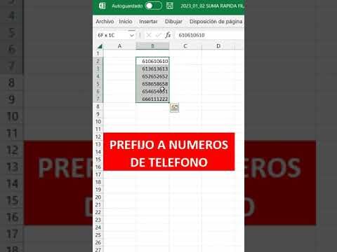 Gu&iacute;a del Formato de N&uacute;meros Internacionales
